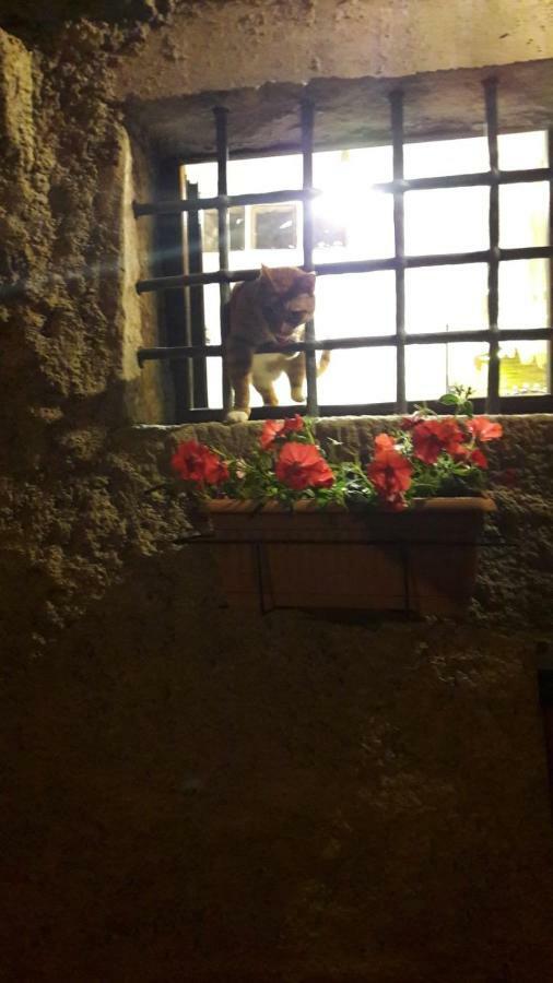 l'arco di Sersa Riccò del Golfo di Spezia Esterno foto